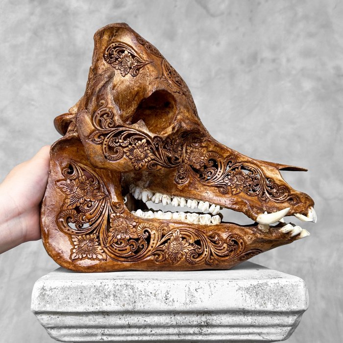 無底價 - 棕色銅綠野豬 - Ketupat 雕刻 - 雕刻頭骨 - Suidae sp. - 24 cm - 29 cm - 16 cm- 非《瀕臨絕種野生動植物國際貿易公約》物種 -  (1)