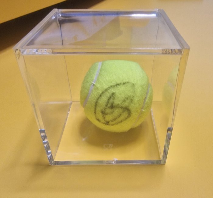 Tennis-ATP-Finale - Novak Djokovic - Tennisball