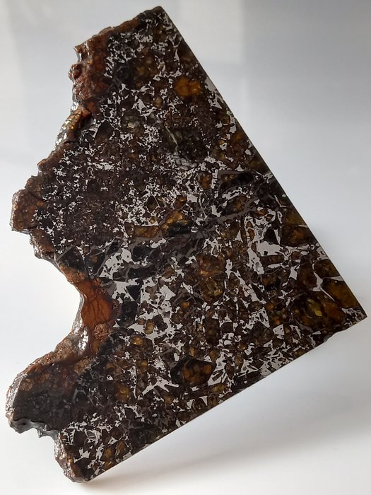 PMG PALLASITE ADMIRÉ Pallasite meteorit Kansasból - Magasság: 102 mm - Szélesség: 88 mm - 83 g - (1)