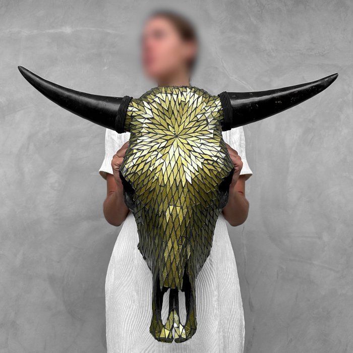 FĂRĂ PRET DE REZERVĂ - C- Craniu mare de taur autentic -Sticlă cu mozaic- Craniu - Bos Taurus - 51 cm - 65 cm - 19 cm- Speciile Non-CITES -  (1)
