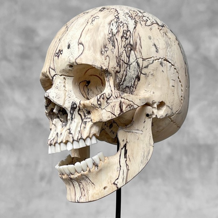 雕刻, -NO RESERVE PRICE - Stunning Wooden Human Skull With A Beautiful Grain - 19 cm - 羅望子屬 - 2024