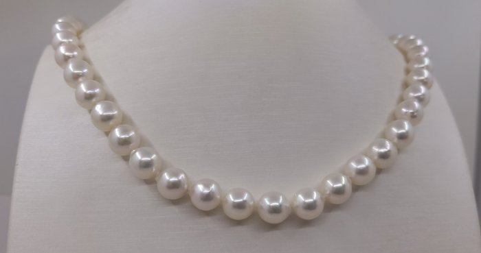 Halskette 9x9,5mm Akoya-Perlen