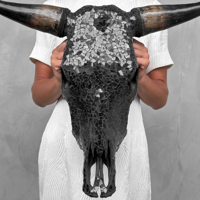 无底价 - 大型正宗公牛头骨 - 带玻璃马赛克镶嵌 - 颅骨 - Bos Taurus - 49 cm - 64 cm - 15 cm- 非《濒危物种公约》物种 -  (1)