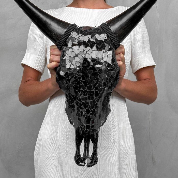 ΧΩΡΙΣ ΤΙΜΗ ΑΠΟΦΑΣΗΣ - Εκπληκτικό κρανίο αγελάδας με ένθετο από γυαλί Mozaic- Κρανίο - Bos Taurus - 50 cm - 45 cm - 22 cm- Είδη που δεν ανήκουν στο CITES -  (1)