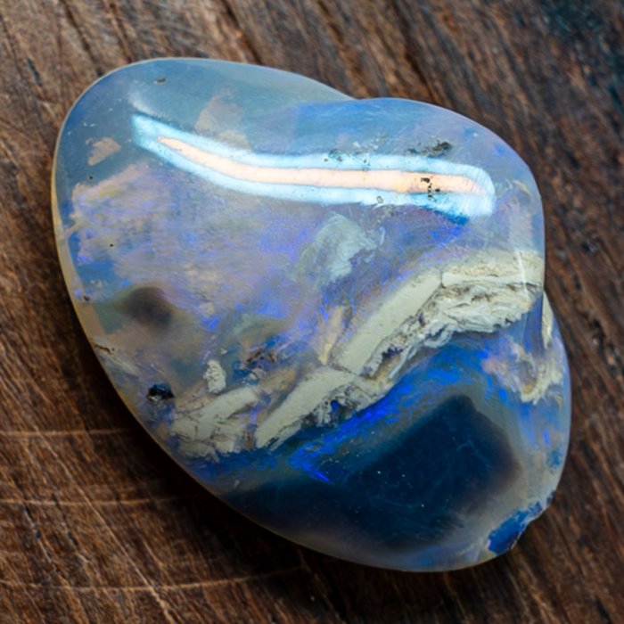 Raro fossile di opale di conchiglia australiano naturale A++ 7,9 carati- 1.58 g