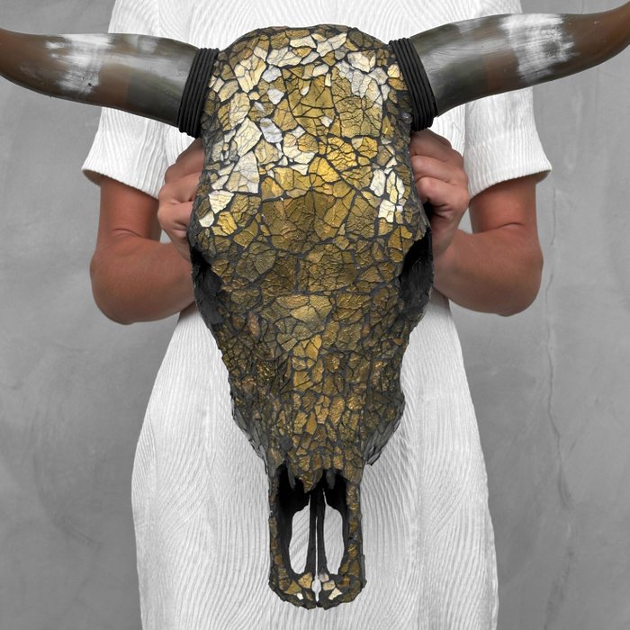 無底價 - 正宗水牛頭骨，玻璃馬賽克鑲嵌 - 頭骨 - Bubalus Bubalis - 45 cm - 46 cm - 20 cm- 非《瀕臨絕種野生動植物國際貿易公約》物種 -  (1)