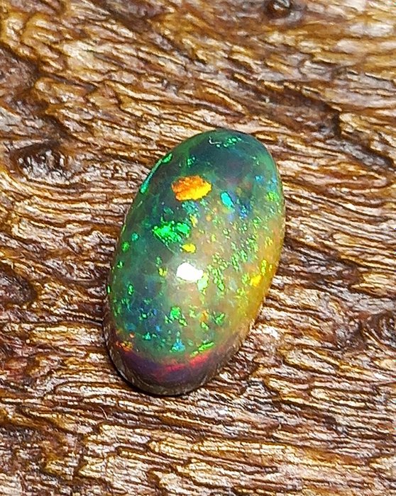 Äthiopischer Opal-Cabochon. 3,90 Karat. Kein Mindestpreis! Ovaler Cabochon - Höhe: 14.86 mm - Breite: 8.41 mm- 0.78 g