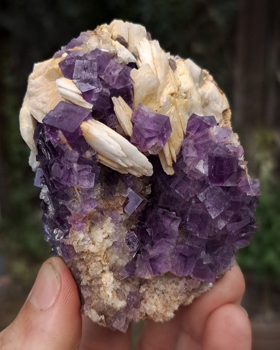 深薰衣草紫色萤石和重晶石组合 真正的西班牙经典 - 高度: 8.2 cm - 宽度: 6.3 cm- 293 g - (1)