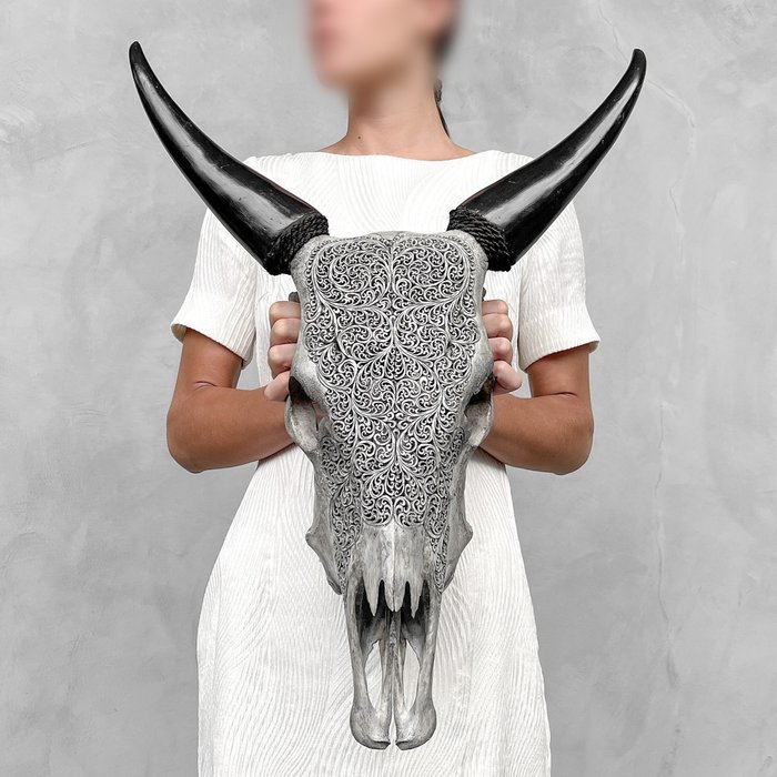 BEZ CENY REZERWOWEJ - Ręcznie rzeźbiona szara czaszka krowy - Motyw paproci - Rzeźbiona czaszka - Bos Taurus - 61 cm - 46 cm - 15 cm- Gatunki inne niż CITES -  (1)
