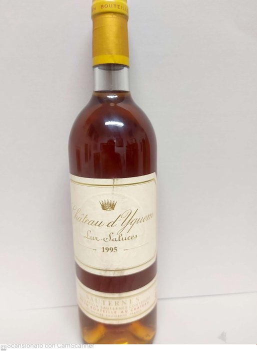 1995 Château d'Yquem - Sauternes 1er Cru Supérieur - 1 Bottiglia (0,75 litri)