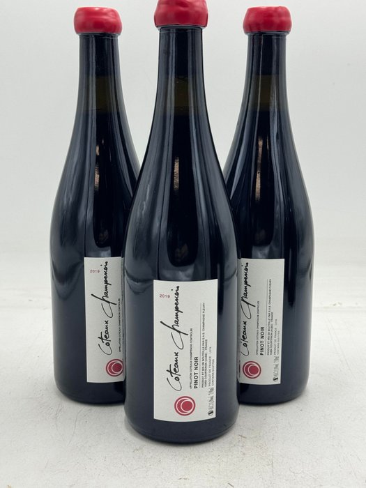 2019 Fleury Coteaux Champenois Pinot Noir - Champagne - 3 Garrafas (0,75 L)