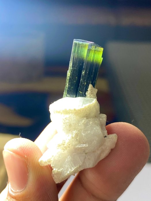 精美的蓝头绿帽电气石晶体与长石，产自巴基斯坦斯卡都 水晶- 14 g