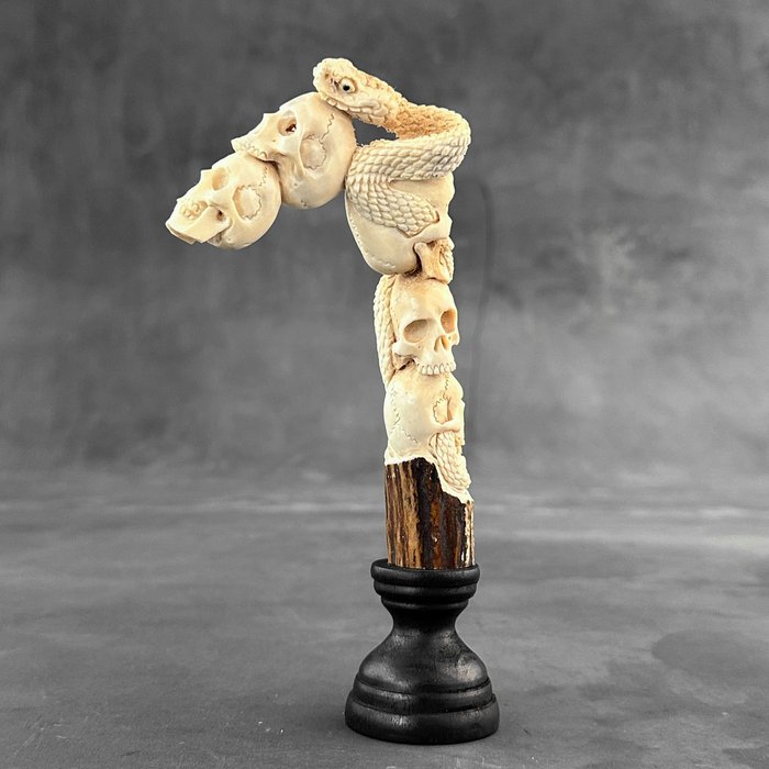 Schnitzerei, NO RESERVE PRICE - Human Skull and Snake carving from a deer antler on a stand - 18 cm - Holz, Hirschgeweih