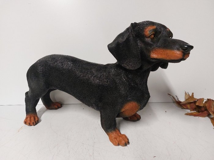 Posąg, fine lifelike statue of a dachshund - 31 cm - poliżywica