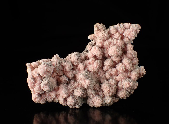 菱锰矿 水晶矩晶体 - 高度: 78 mm - 宽度: 40 mm- 53 g