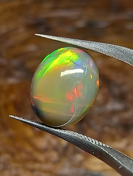 Etiopian musta opaali cabochon, savustettu. 2,90 karaattia. Ei pohjahintaa! Ovaalin muotoinen cabochon - Korkeus: 12.19 mm - Leveys: 10 mm- 0.58 g