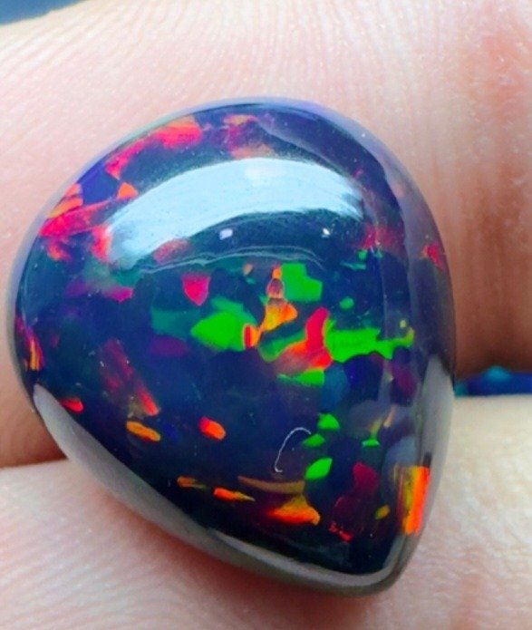Black welo opal cabochon. 8.0 carats. Cabochon - Height: 16 mm - Width: 13.7 mm- 1.6 g