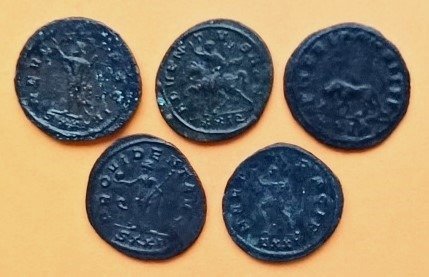 罗马帝国. 普罗布斯 （公元276-282）. Lot of 5 Æ Antoniniani different mints. Incl.: ADVENTVS AVG & Lion killing ox