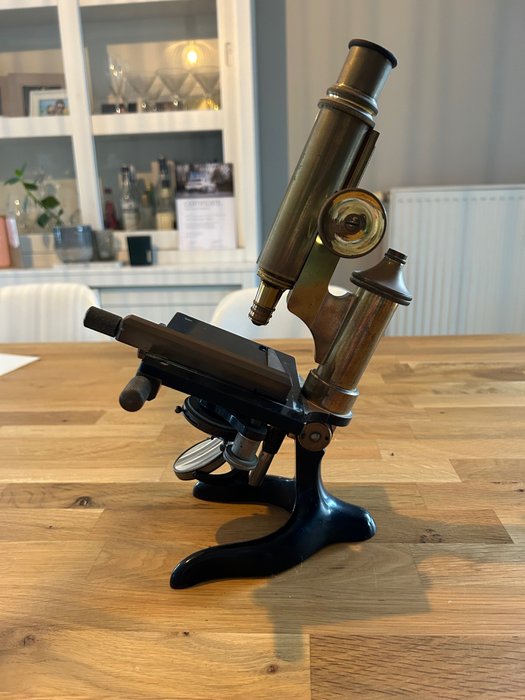 Microscopio - E. Leitz wetzlar 106066