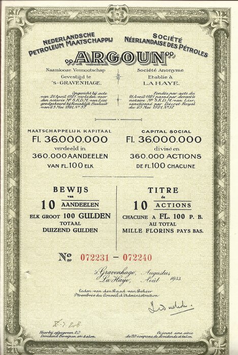 Anleihen- oder Aktiensammlung - Niederlande – Den Haag – Niederländische Erdölgesellschaft 1933 – Alle 20/20 Coupons