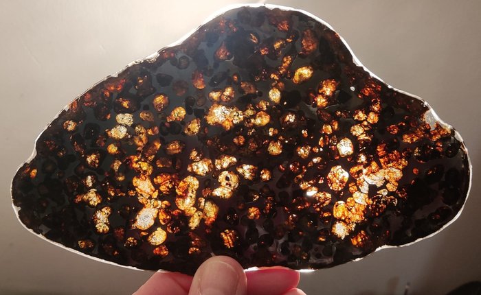Sericho Meteorit Pallasit - Höhe: 182 mm - Breite: 105 mm - 84 g