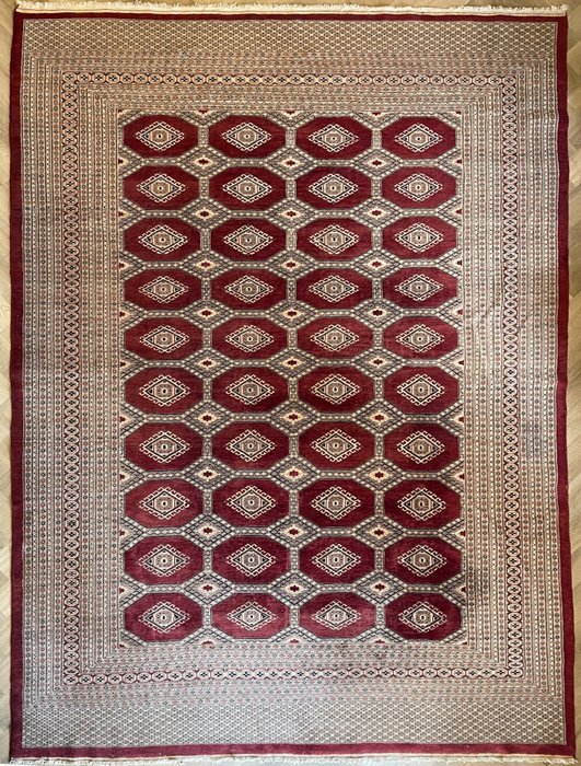 Buchara - Carpetă - 338 cm - 254 cm