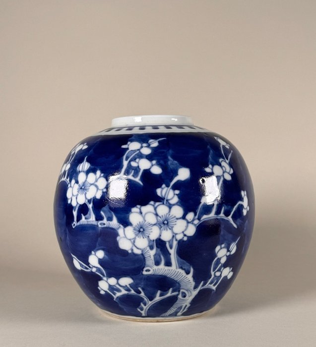 Jarrón de jengibre Pronus - Porcelana - China - Dinastía Qing (1644-1911)