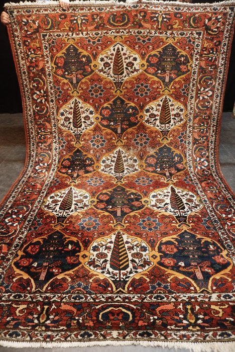 波斯巴赫迪亞古董 - 地毯 - 313 cm - 205 cm