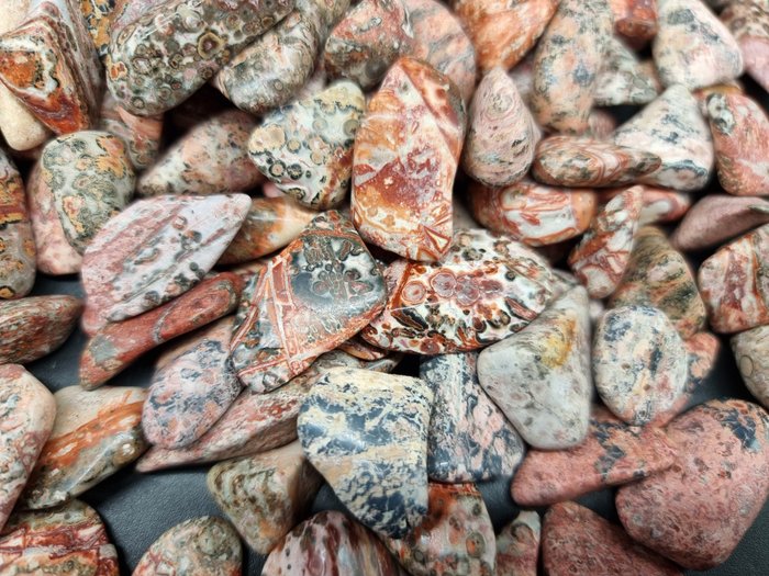 Jaspis leopardo - piedras rodadas Jaspis leopardo- 1 kg