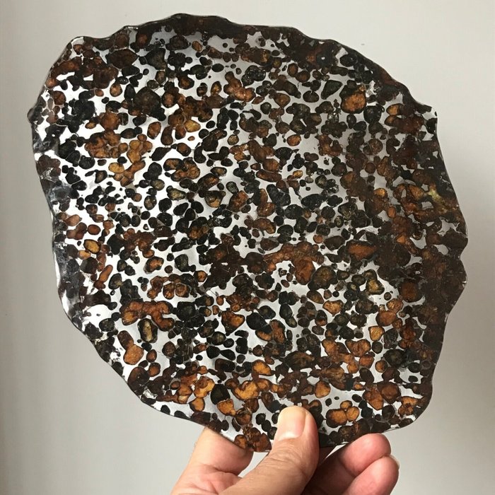 Sericho Meteorit Pallasit - Höhe: 245 mm - Breite: 192 mm - 355 g