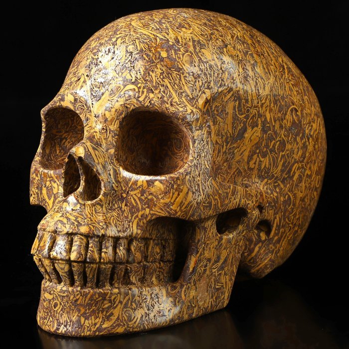 Utrolig 1.292 kg Mariam Jasper Skalle - Hand Carved Skull - 97 mm - 85 mm - 128 mm