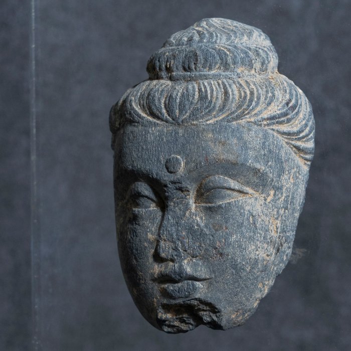 Gandhara Schist Hoofd van Boeddha - 3e-5e eeuw na Christus