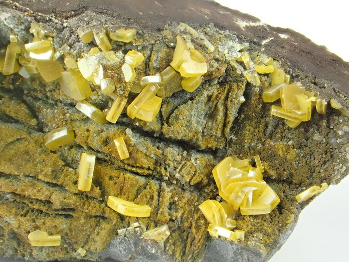 Rare "Sandwich" Wulfenite Crystals on matrix - Height: 90 mm - Width: 52 mm- 254 g