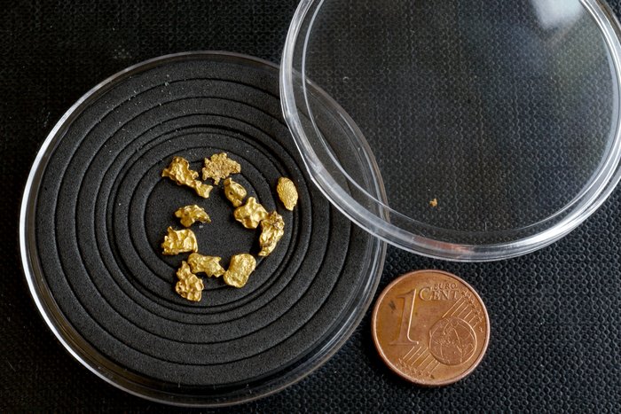 Ouro Nativa, pepita de ouro da Mauritânia (pepita de ouro)- 1.67 g - (11)