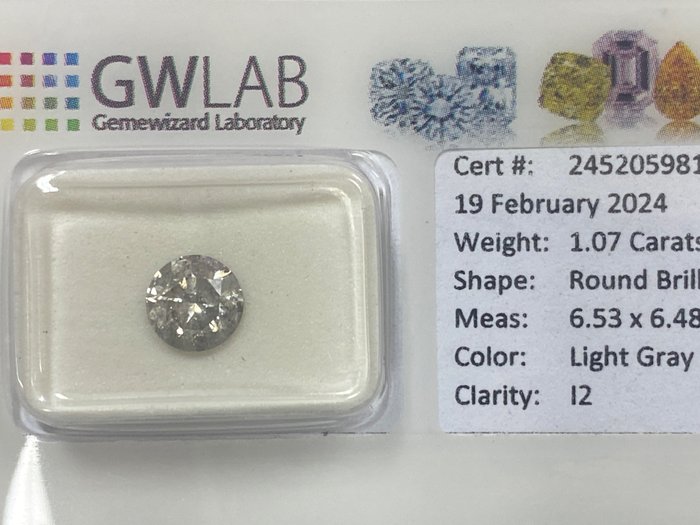 1 pcs 鑽石 - 1.07 ct - 圓形 - Light gray - I2, No reserve price