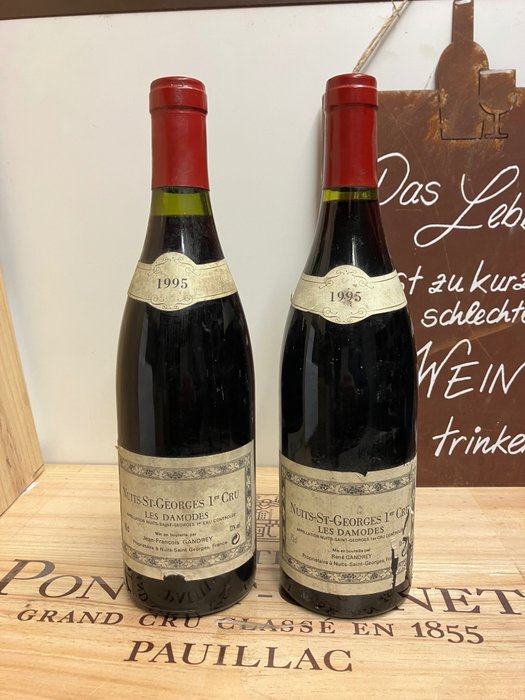1995 Nuits Saint Georges 1° Cru "Les Damodes“ - Domaine Gandrey - Borgogna - 2 Bottiglie (0,75 L)