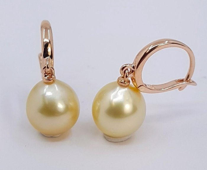 10x11mm Golden South Sea Pearls - 耳環 玫瑰金 