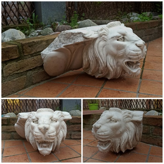 Scultura, "Testa di leone" - Metà del XX secolo - 30 cm - Marmo