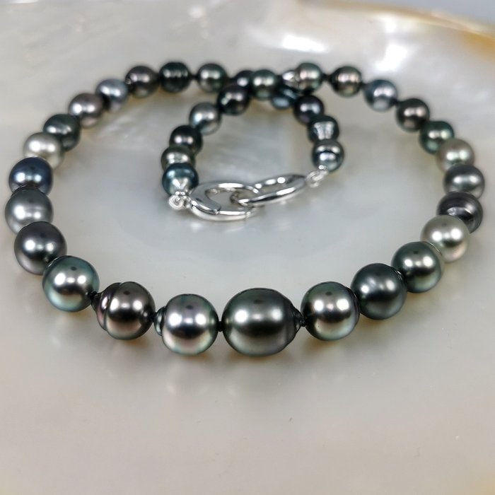 Rainbow Tahitian pearls baroque Necklace - Silver Pearl 