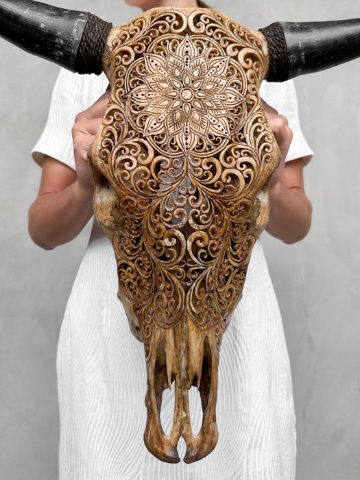 無底價 - 正宗手工雕刻大型棕色公牛頭骨 - 雙花曼陀羅圖案 - 雕刻頭骨 - Bos Taurus - 51 cm - 61 cm - 23 cm- 非《瀕臨絕種野生動植物國際貿易公約》物種 -  (1)