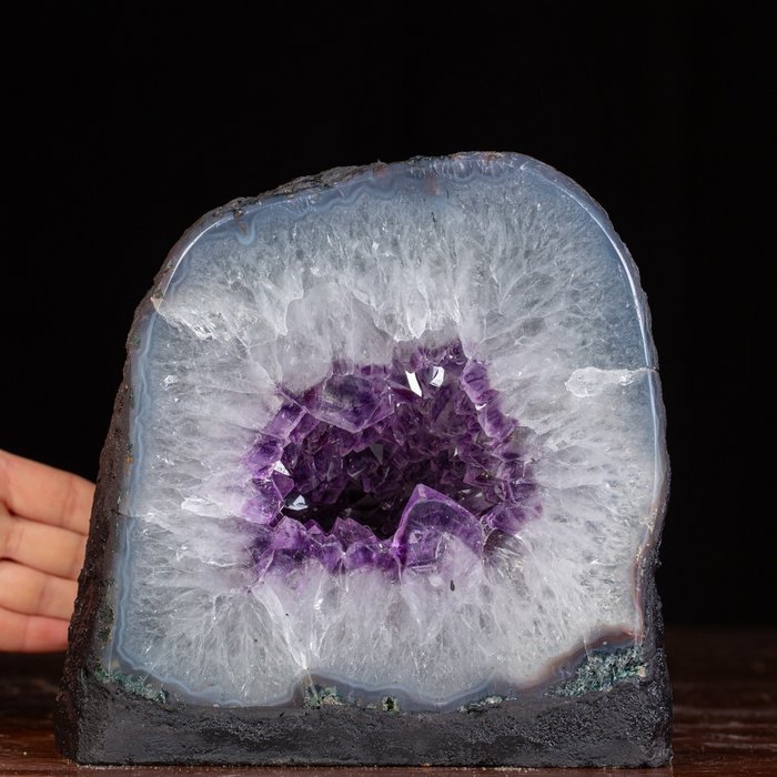 Drusa – Große Quarzkristalle Amethyst-Druse - Höhe: 220 mm - Breite: 200 mm- 8700 g