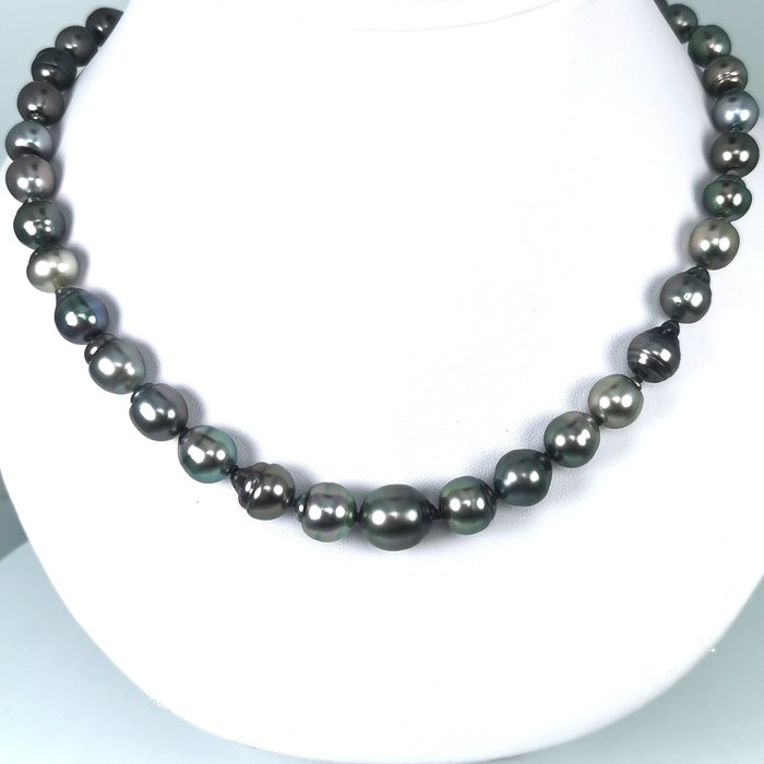 Rainbow Tahitian pearls baroque - Necklace - Silver Pearl - Catawiki
