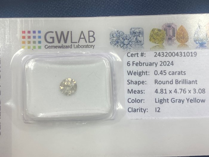 1 pcs 钻石 - 0.45 ct - 圆形 - Light gray yellow - I2 内含二级, No reserve price