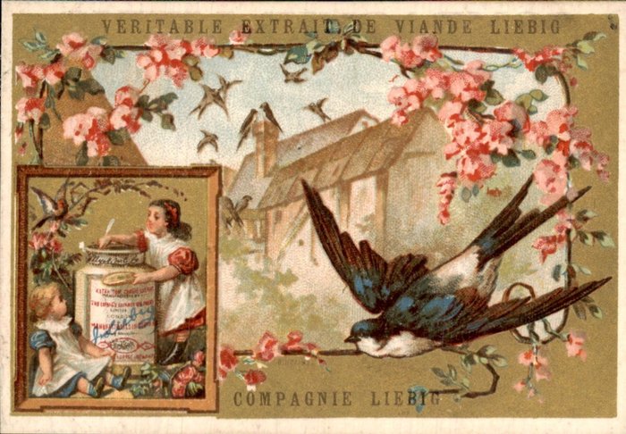 France - Liebig Chromo S102 - BIRDS VI (INSET ON LEFT) - RARE - Postcard (6) - 1876-1876