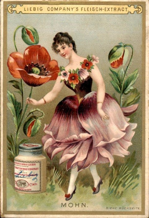 Allemagne - Liebig Chromo S258 & S268 - Carte postale (12) - 1890-1890