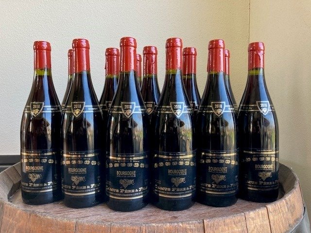 2018 Bourgogne Rouge - Domaine Camus - Burgund - 12 Flaschen (0,75 l)