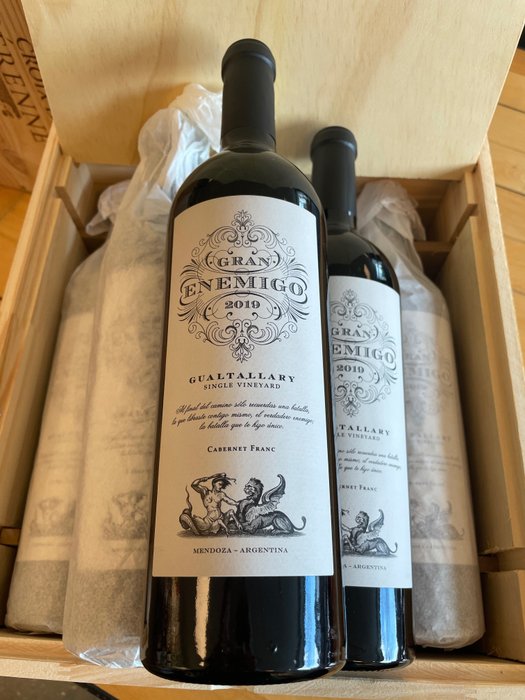 2019 Gran Enemigo, Gualtallary Single Vineyard - 门多萨 - 6 Bottles (0.75L)