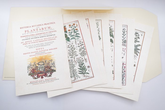 Joannis Battistae Morandi - 6 Litho's uit Historia Botanica Practica - 2000