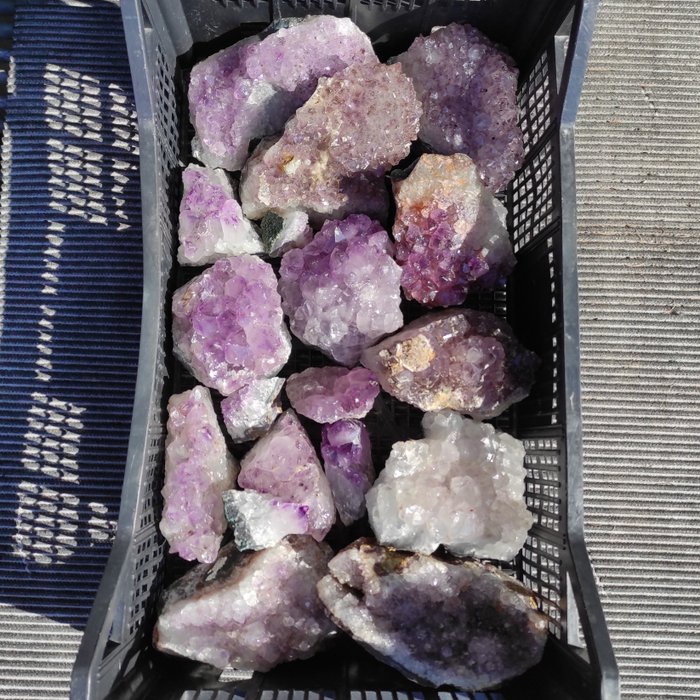 紫水晶 晶簇- 12 kg - (18)
