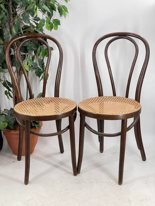 Krzesło (2) - Krzesła w stylu vintage z zaokrąglonymi oparciami - Drewno